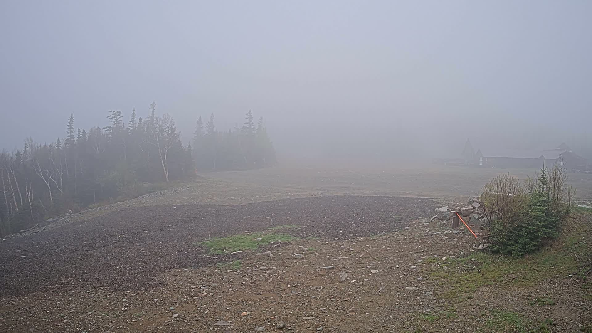A rocky, mostly barren landscape is shrouded in dense fog, with a line of trees and a distant building barely visible in the hazy distance.