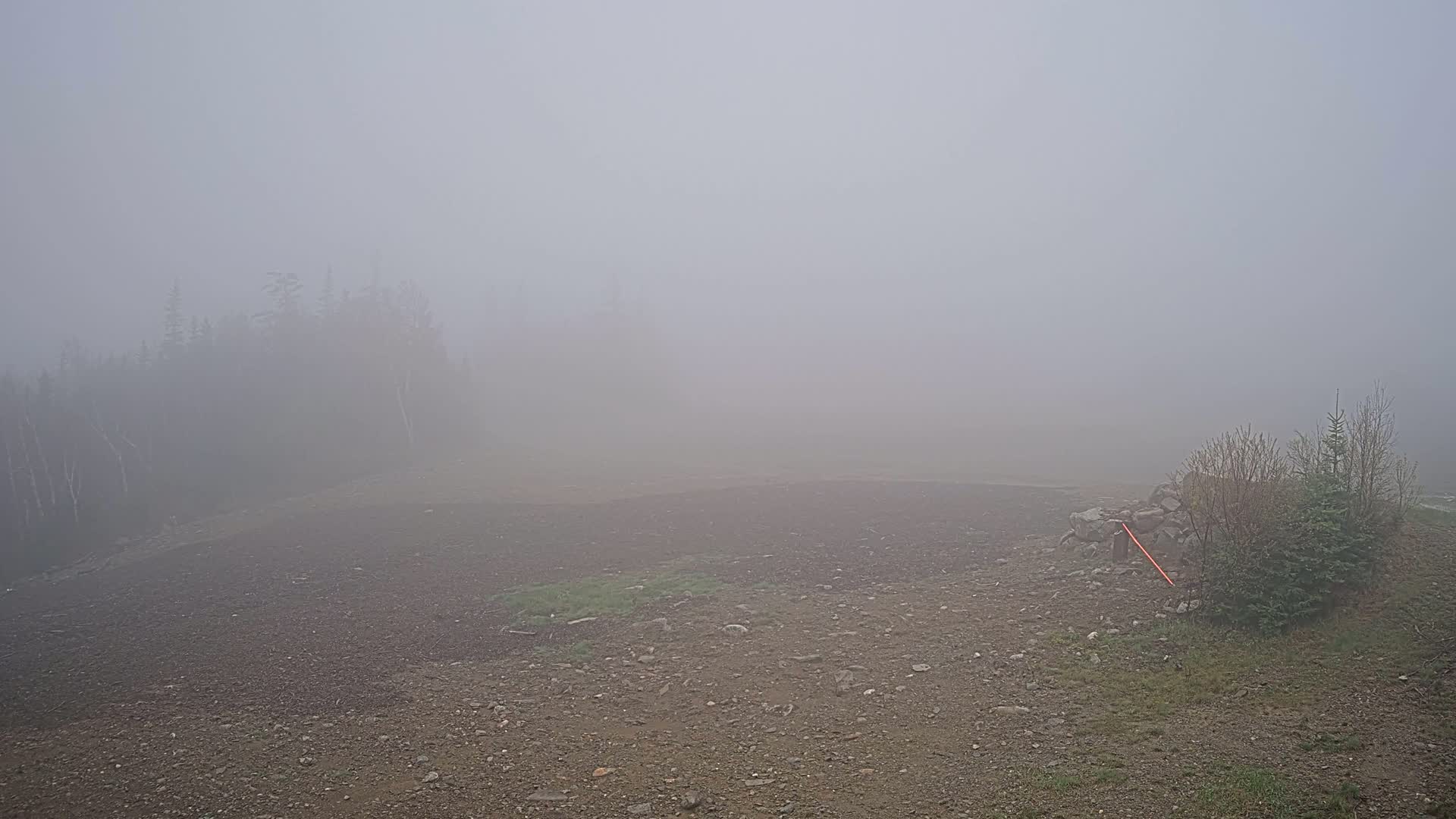 A rocky, sparsely vegetated area is shrouded in thick fog, with a dark line of trees barely visible in the background.