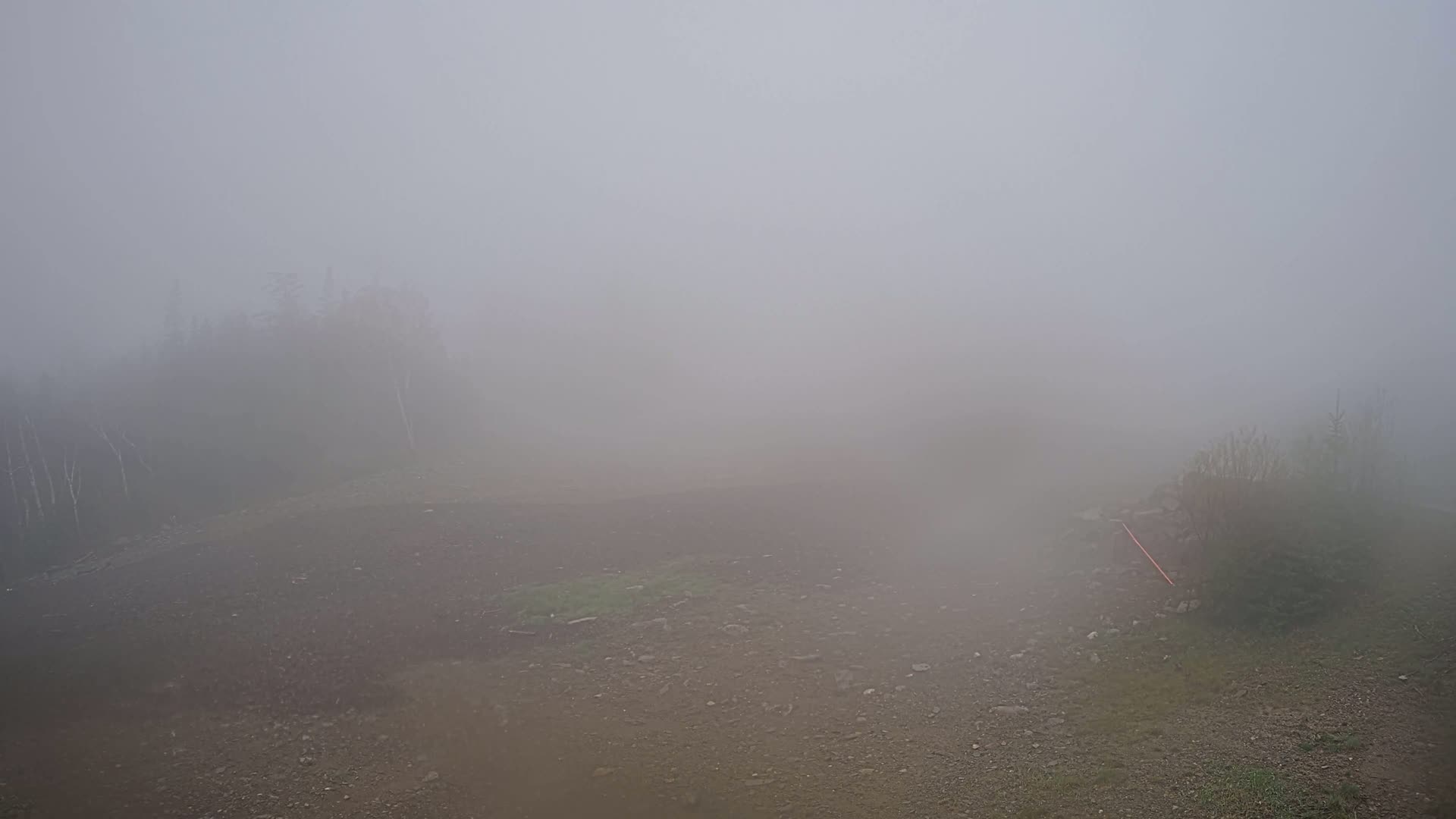 A rocky, sparsely vegetated area is shrouded in thick fog, with a dark line of trees barely visible in the distance.