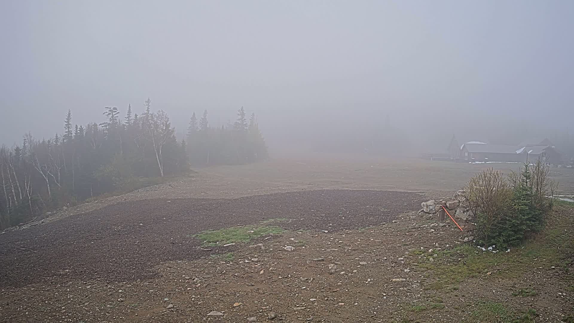 A rocky, sparsely vegetated area stretches out under a thick fog, with a line of trees and a building barely visible in the distance.