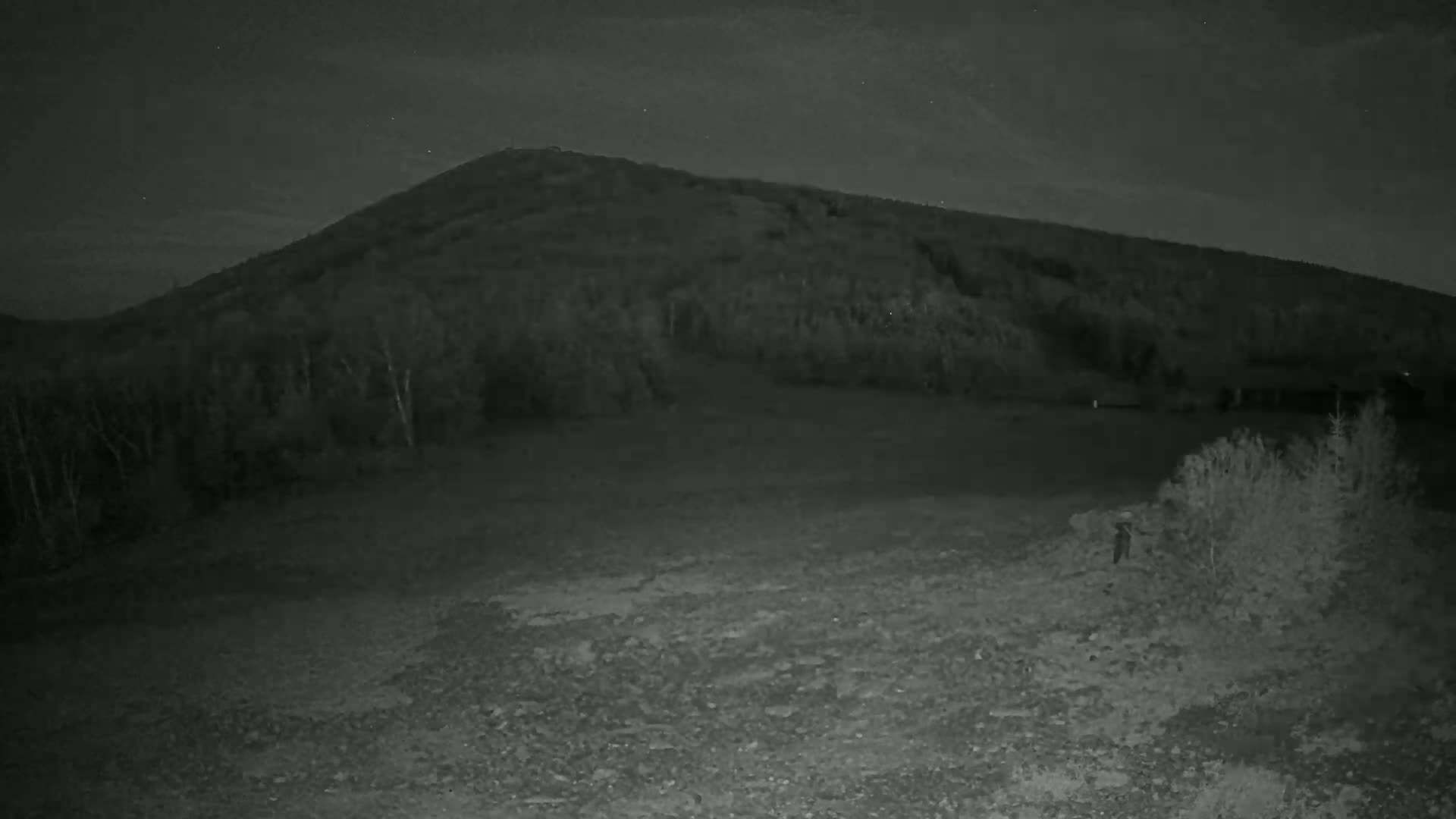 A dark, treeline-covered hill is visible under a night sky.