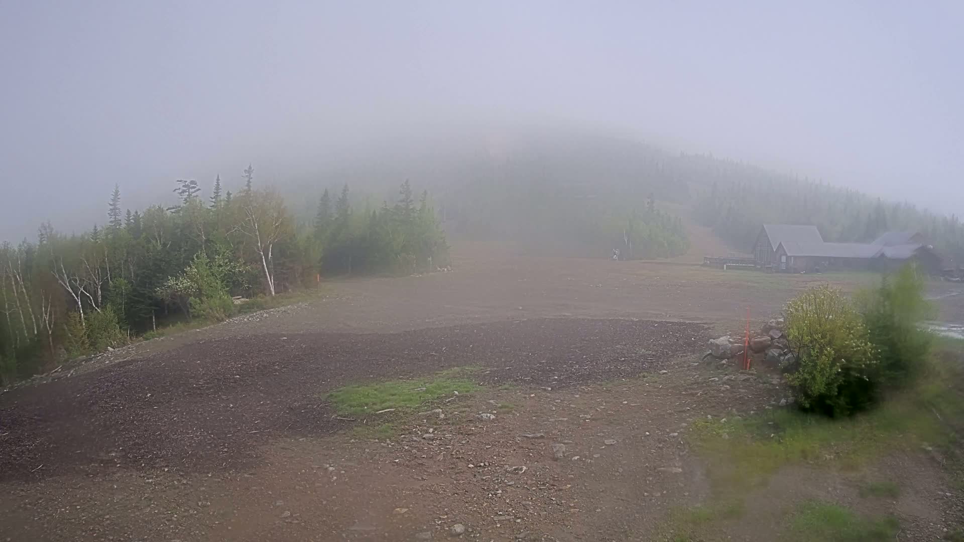 A foggy, barren landscape with a few trees and a building in the distance.