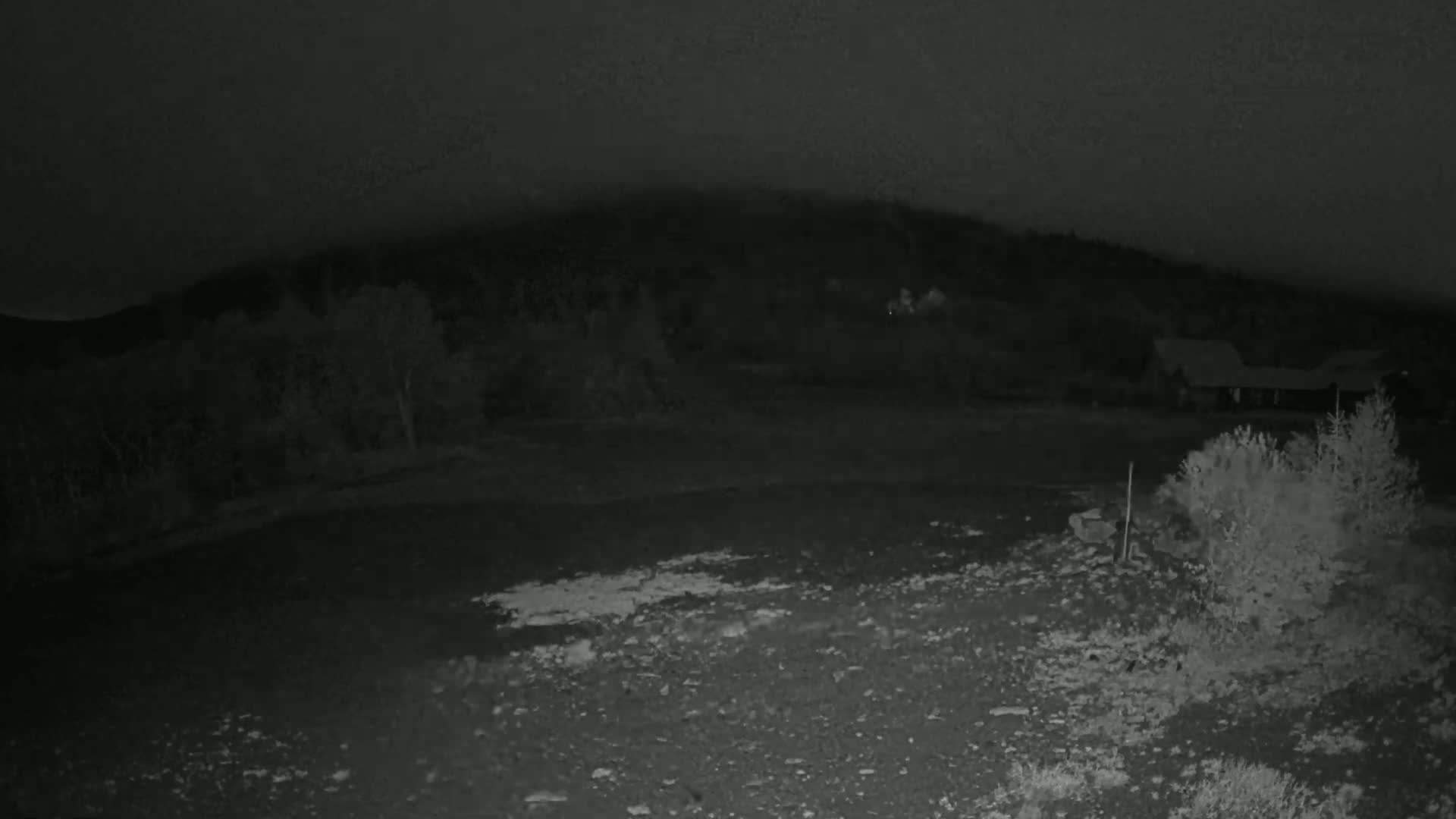 A nighttime, low-light image shows a rocky, barren foreground with some vegetation in the bottom right, leading to a line of trees and a hill under a dark sky.