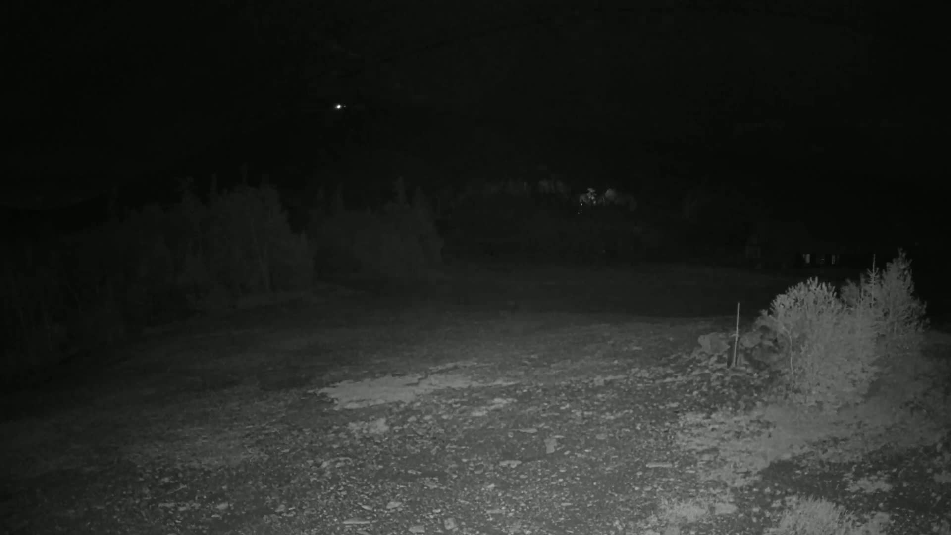 A rocky, sparsely vegetated area is visible at night under a dark sky with a single bright light source in the distance.
