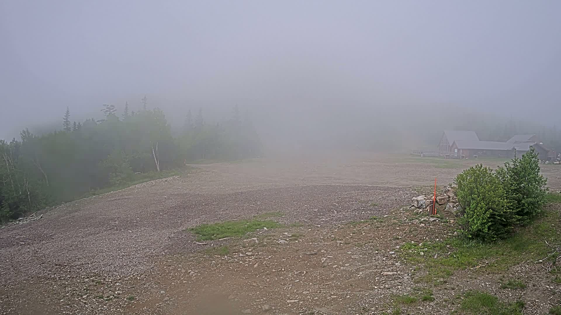 A gravel area with sparse vegetation and a few buildings is shrouded in thick fog, with a line of trees in the background.