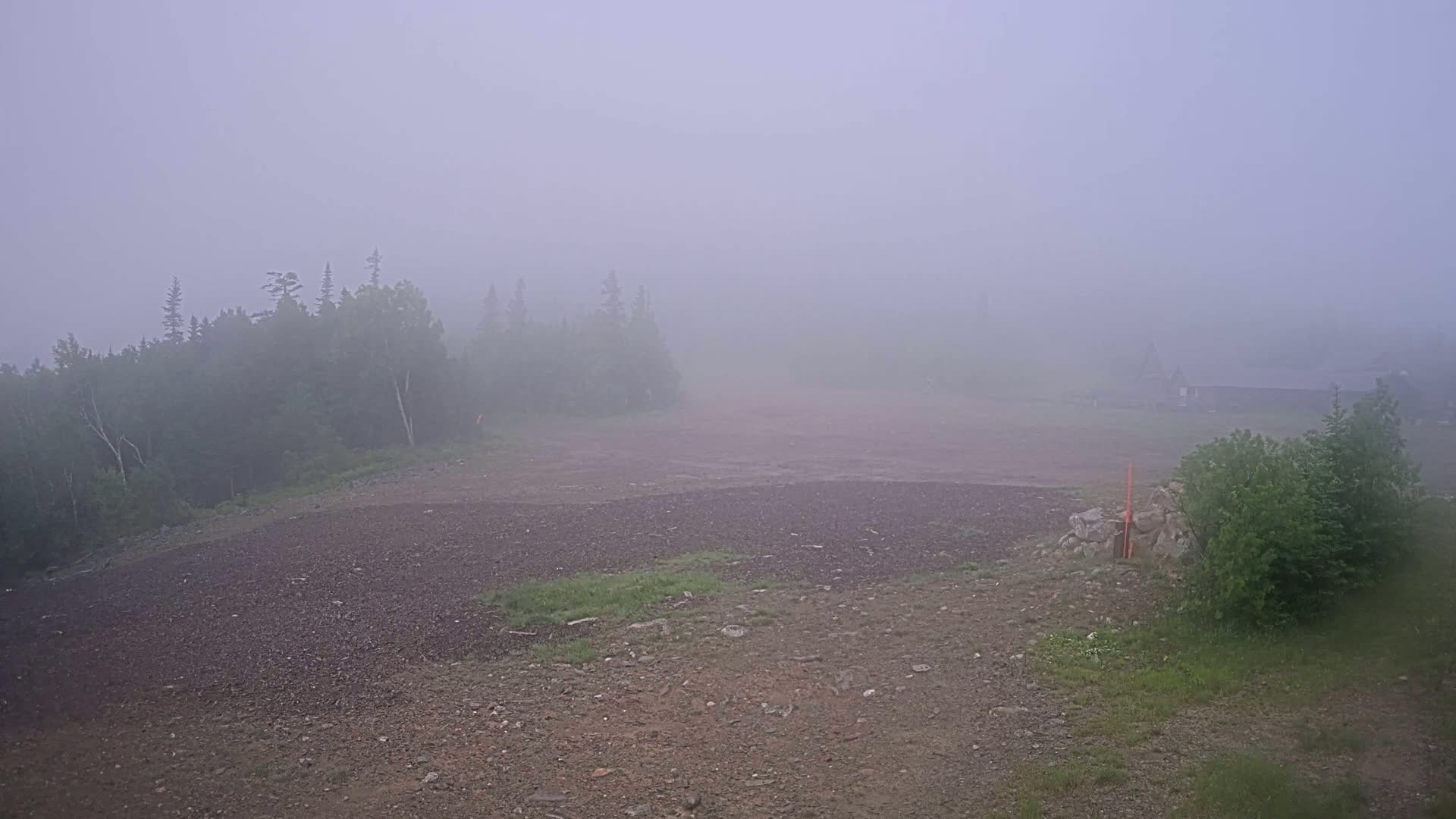 A fog-shrouded, rocky, open area with a line of trees in the background.
