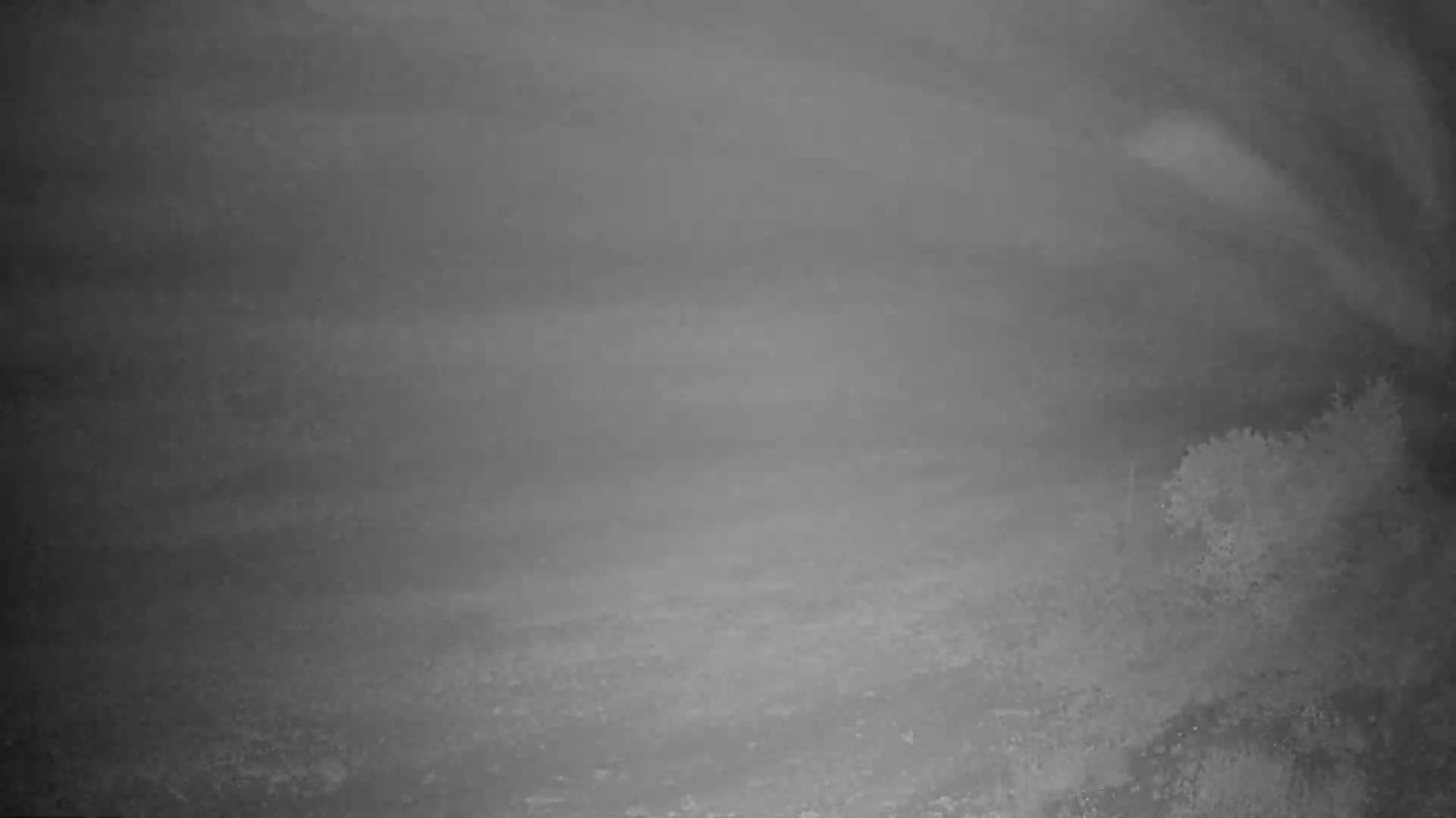 A nighttime, foggy outdoor scene shows a mostly barren landscape with some shrubs in the lower right corner.