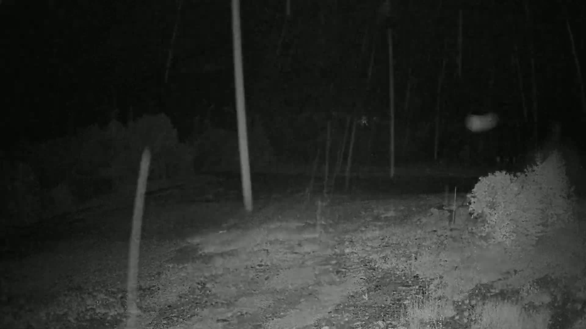 Kingfield, Sugarloaf Mountain Panaromic Live Cam - Kingfield, Franklin, Maine, USA