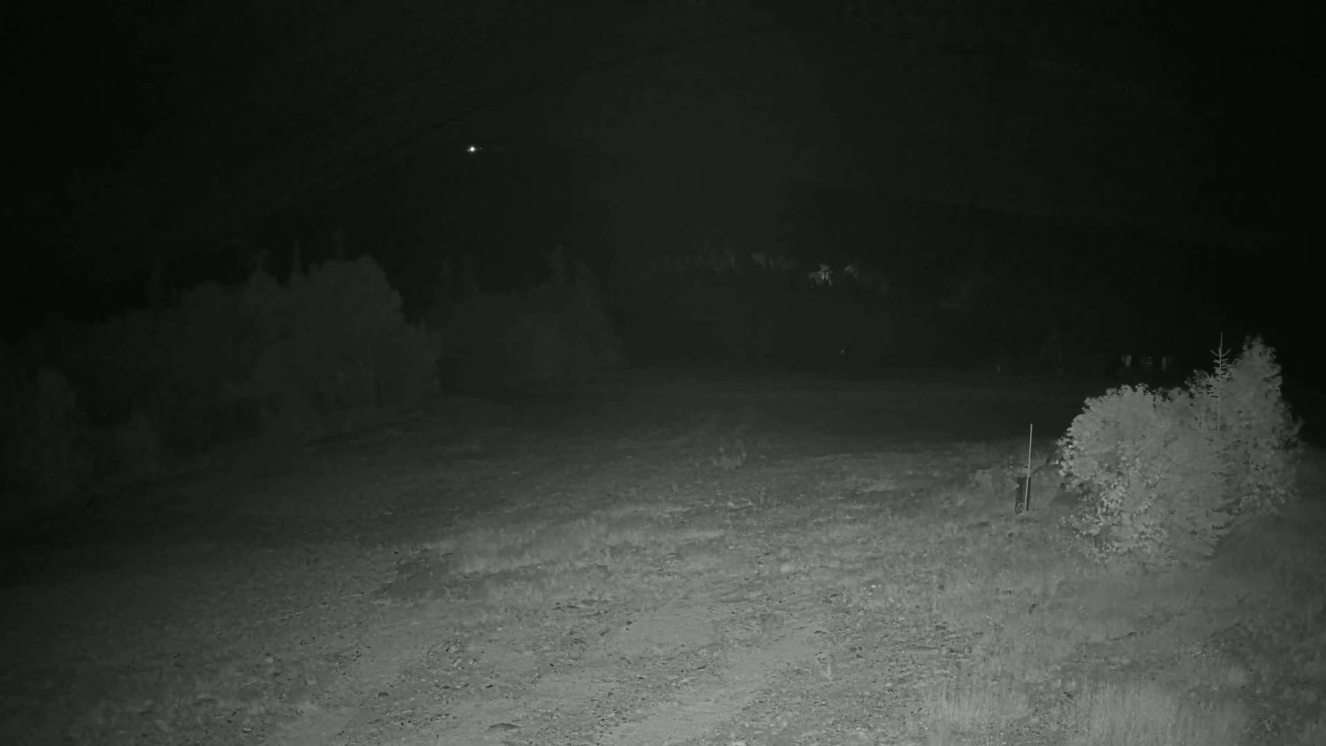 A dark, nighttime scene shows a gravel area with sparse vegetation and trees in the background under a clear sky.