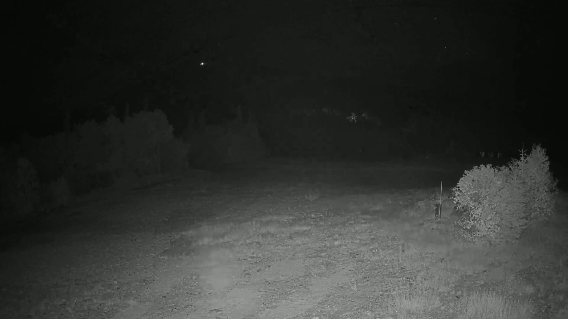 A dark, nighttime scene shows a gravel area with sparse vegetation and trees in the background under a clear sky.