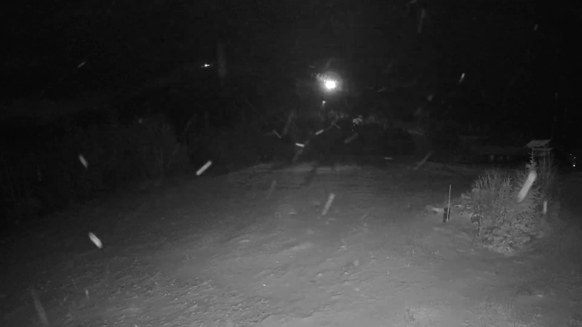 A monochrome outdoor scene at night features heavy snowfall illuminated by a distant light, revealing a path or clearing and subtle background details.