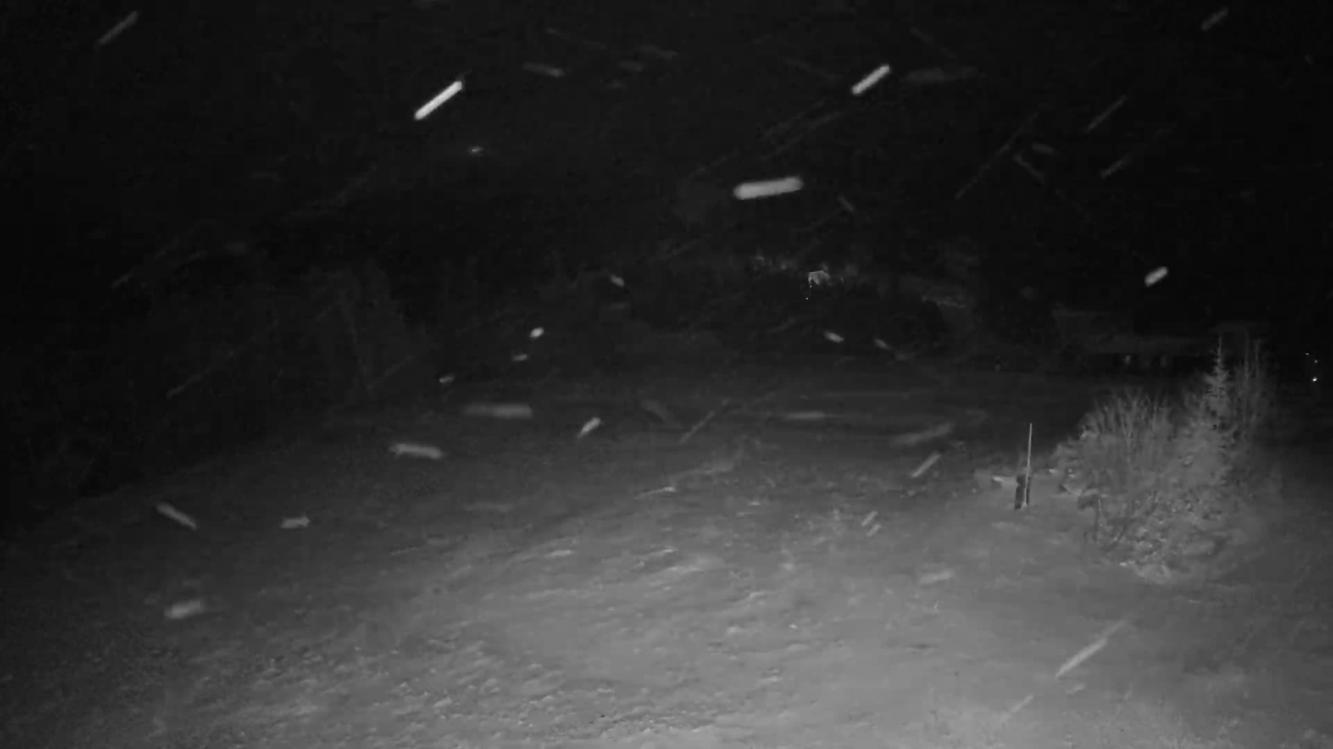 Kingfield, Sugarloaf Mountain Panaromic Live Cam - Kingfield, Franklin, Maine, USA