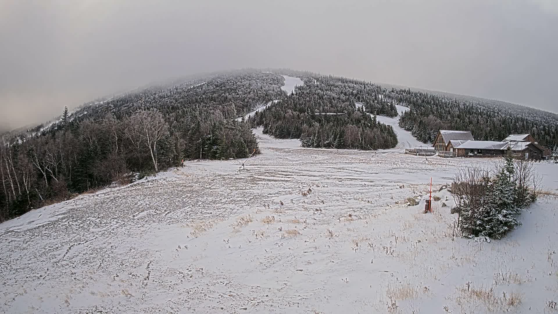 A monochrome outdoor scene at night features heavy snowfall illuminated by a distant light, revealing a path or clearing and subtle background details.