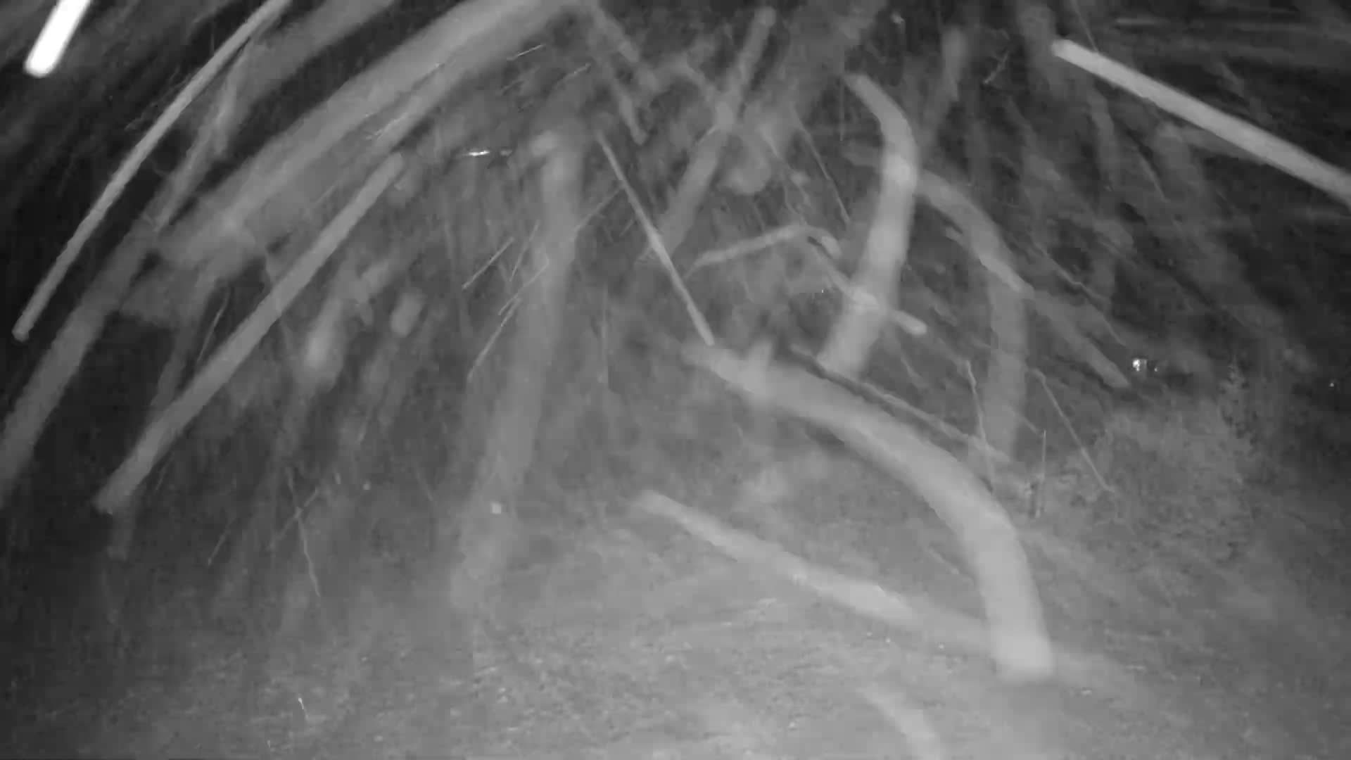 Kingfield, Sugarloaf Mountain Panaromic Live Cam - Kingfield, Franklin, Maine, USA