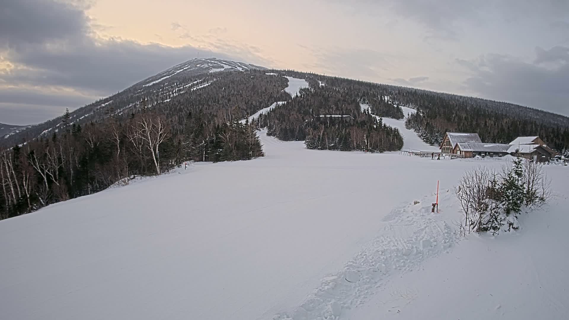 It is a clear, cold night at a snow-covered ski resort where snow guns are actively producing snow, with distant evergreen forests and lodge buildings visible under a starry, moonlit sky.