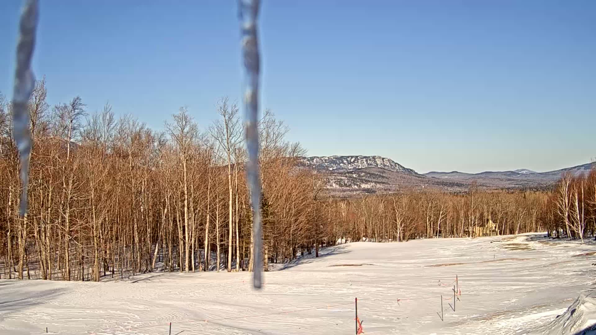 Long icicles hang in the foreground of a snowy, sunny landscape featuring a forest of bare trees and distant mountains.
