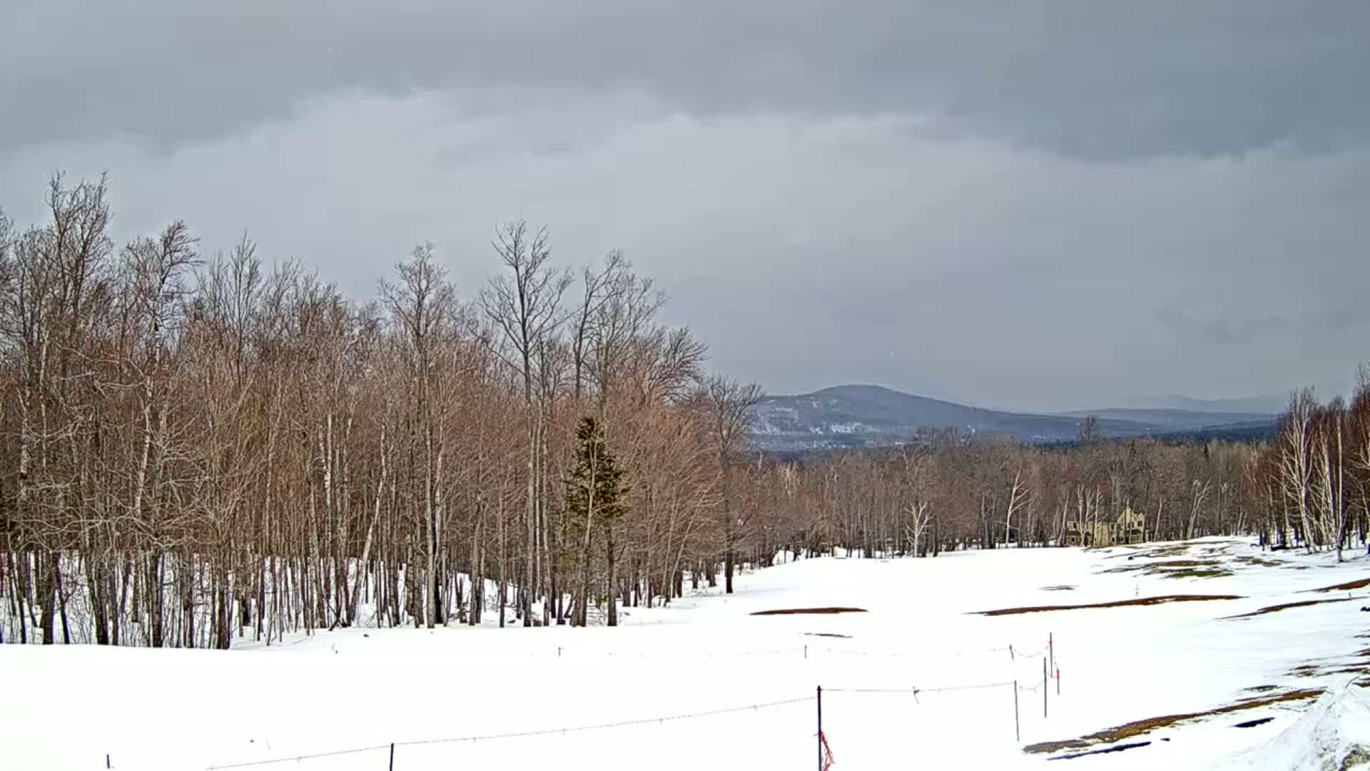 A snow-covered landscape with bare trees in the foreground and distant mountains under a cloudy sky.