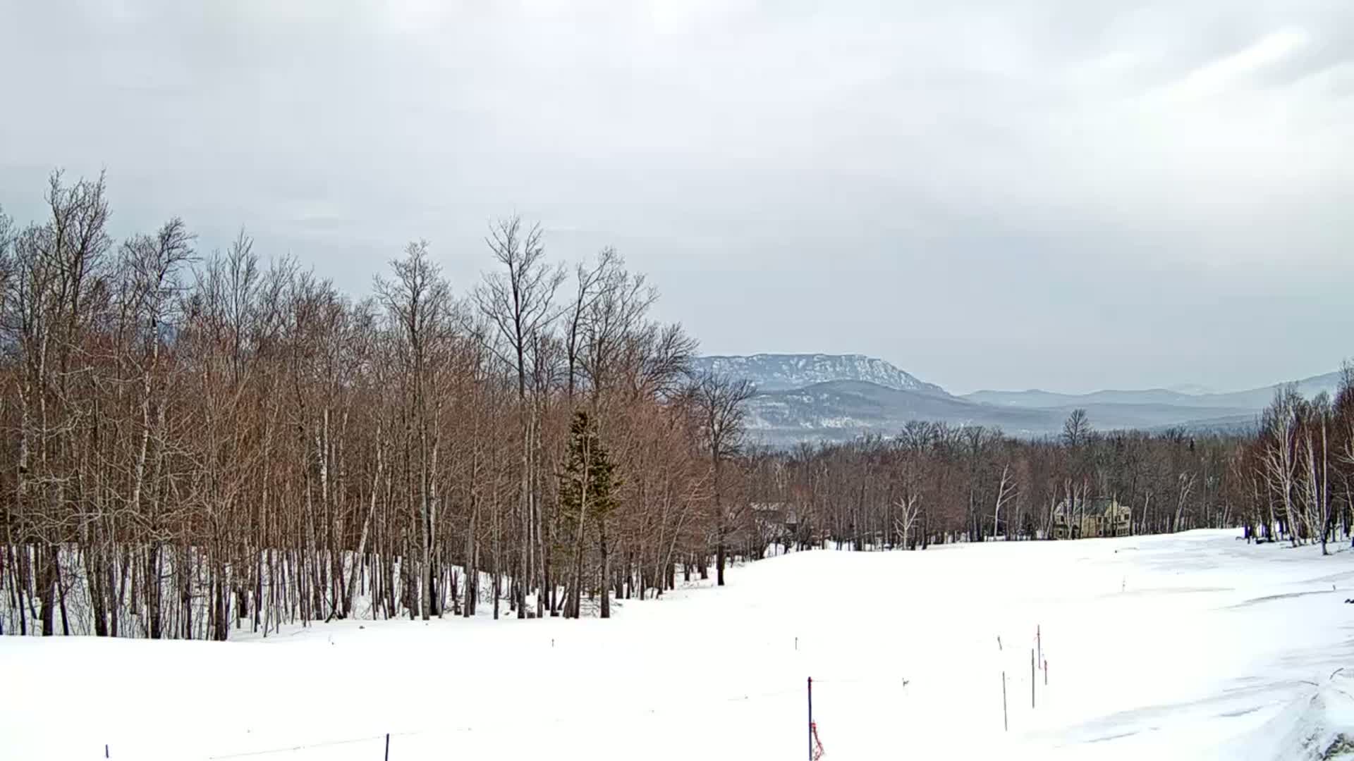 A snow-covered landscape features leafless trees in the foreground, with a line of mountains visible in the distance under a cloudy sky.