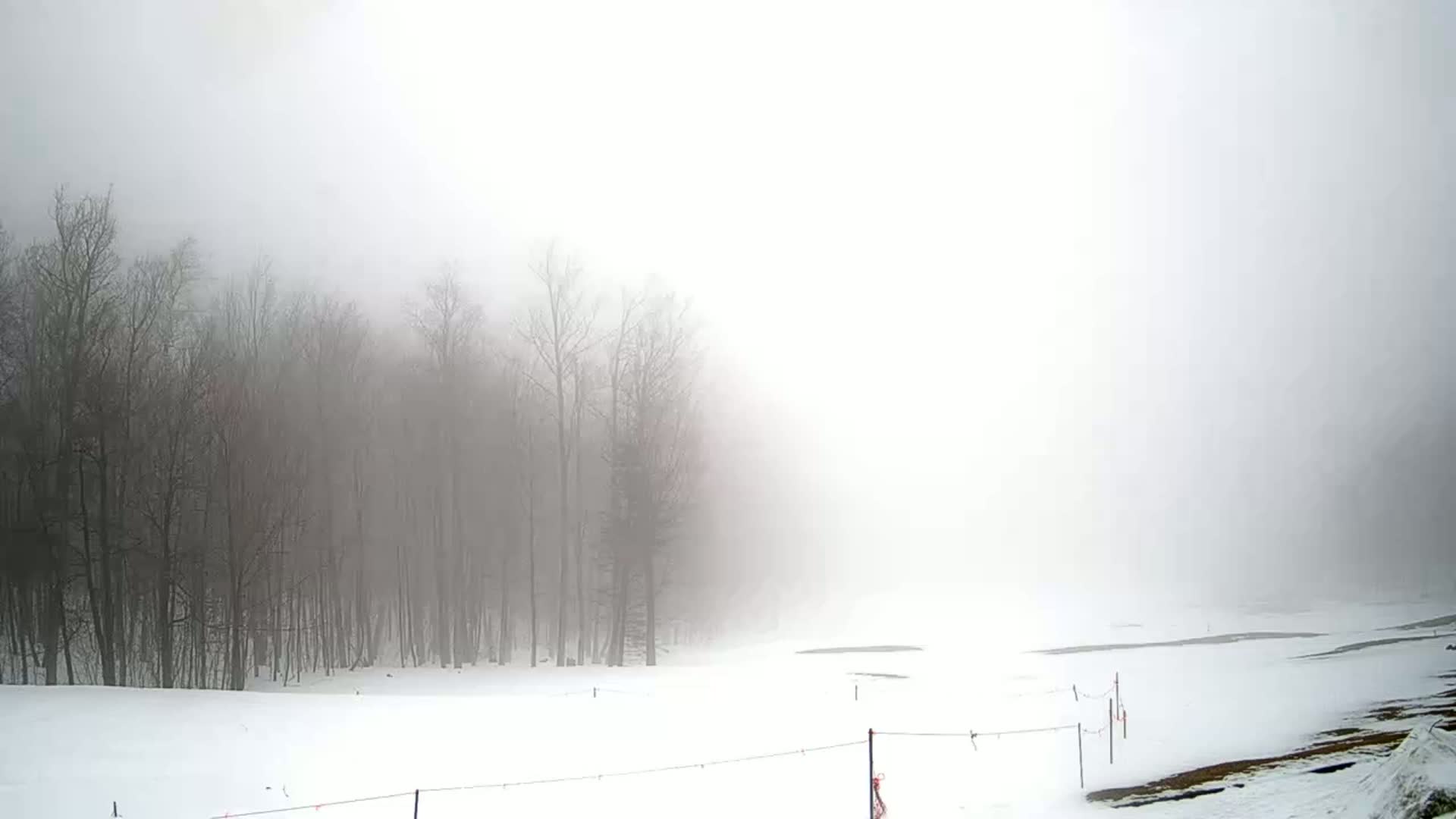 A snow-covered landscape with leafless trees shrouded in dense fog stretches to the horizon.