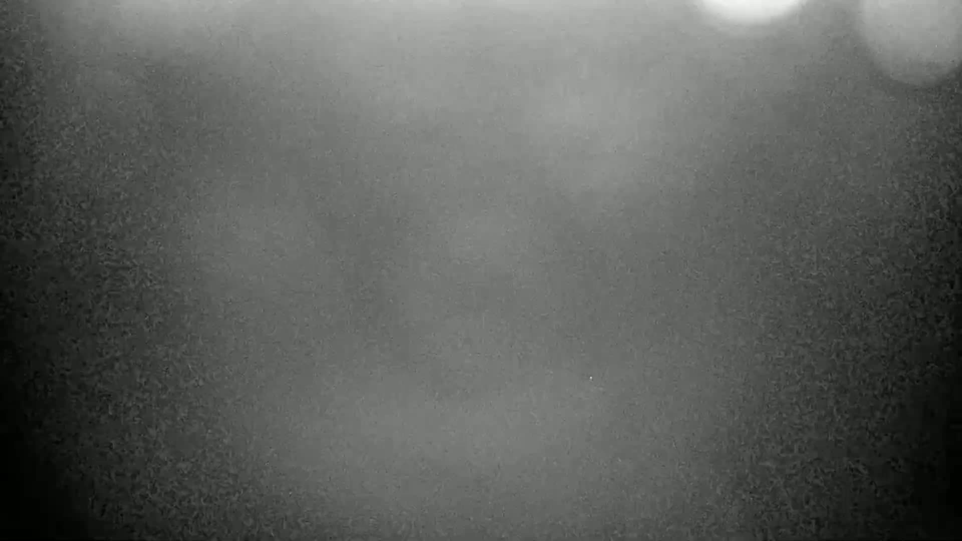A blurry, grayscale image shows an indistinct, textured surface with hazy, bright spots in the upper portion.