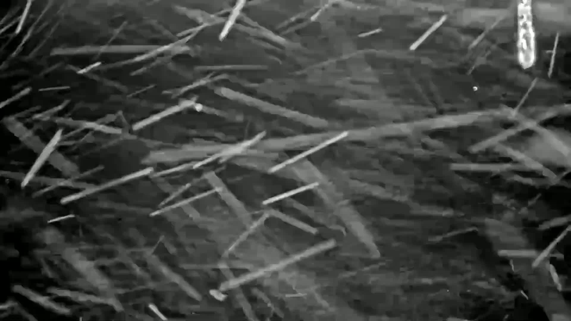 Many thin, light-colored, needle-like objects fall through a dark, blurry background in a snowstorm.