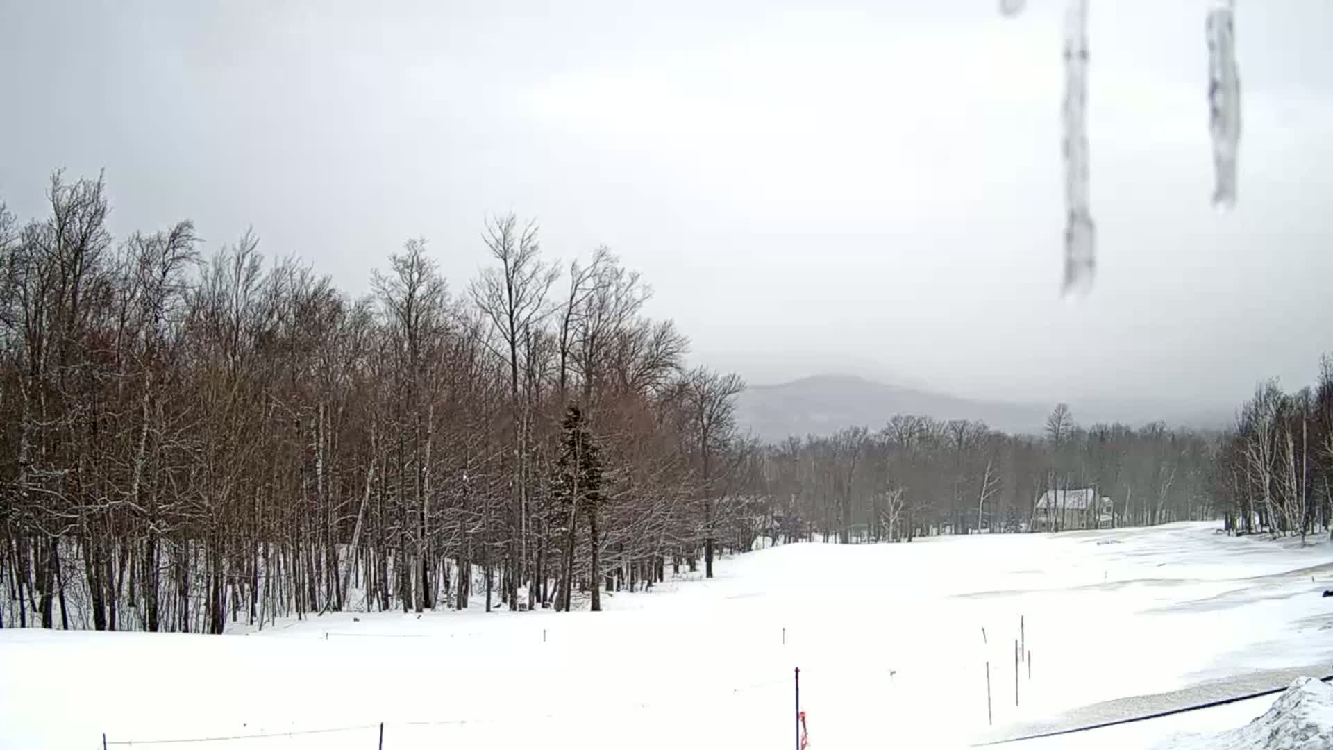 A snow-covered landscape features a line of leafless trees, a distant, hazy mountain range, and a small building in the mid-ground under an overcast sky.