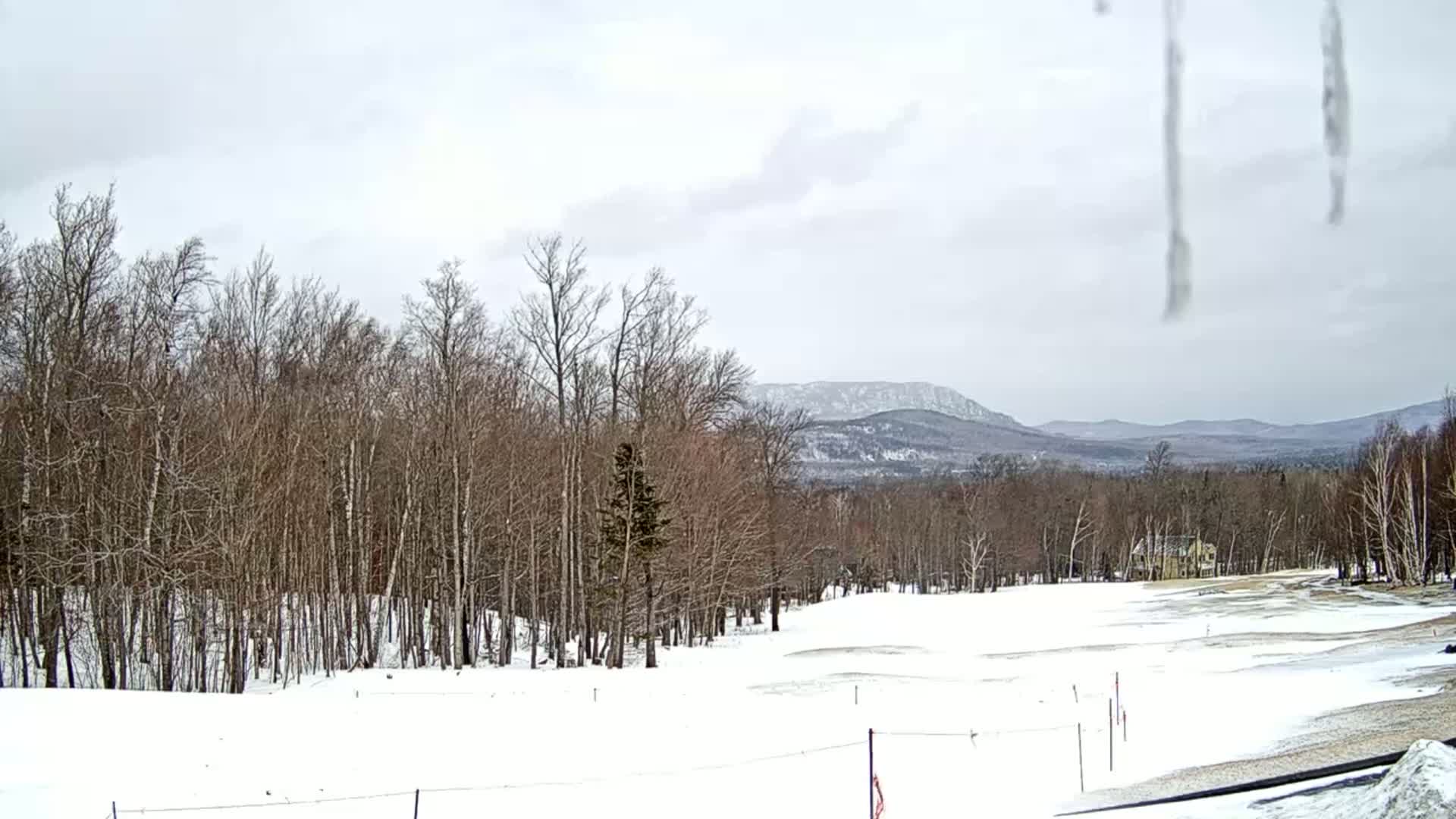 A snow-covered landscape featuring leafless trees, a distant mountain range, and a mostly clear, overcast sky.