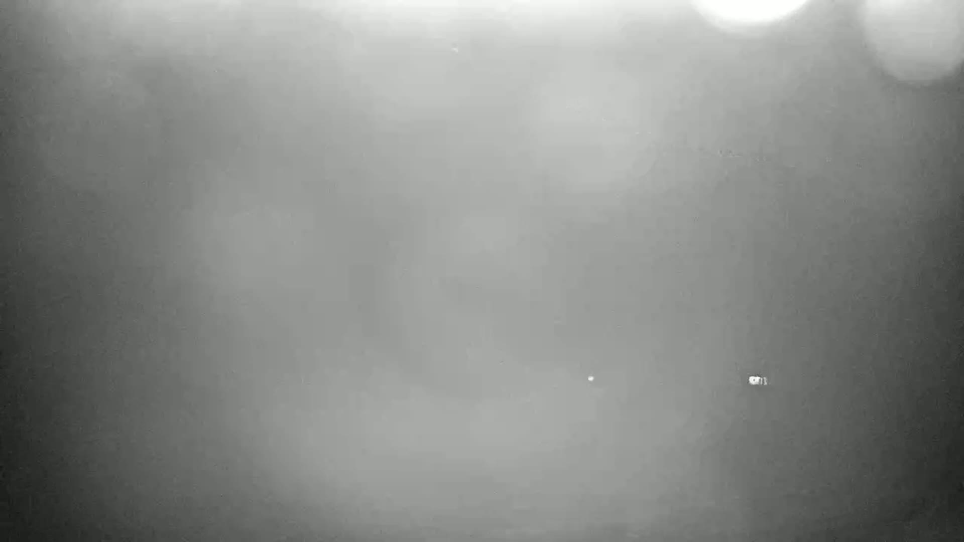 A blurry, gray, foggy outdoor scene is visible, with only a few indistinct shapes discernible in the distance.