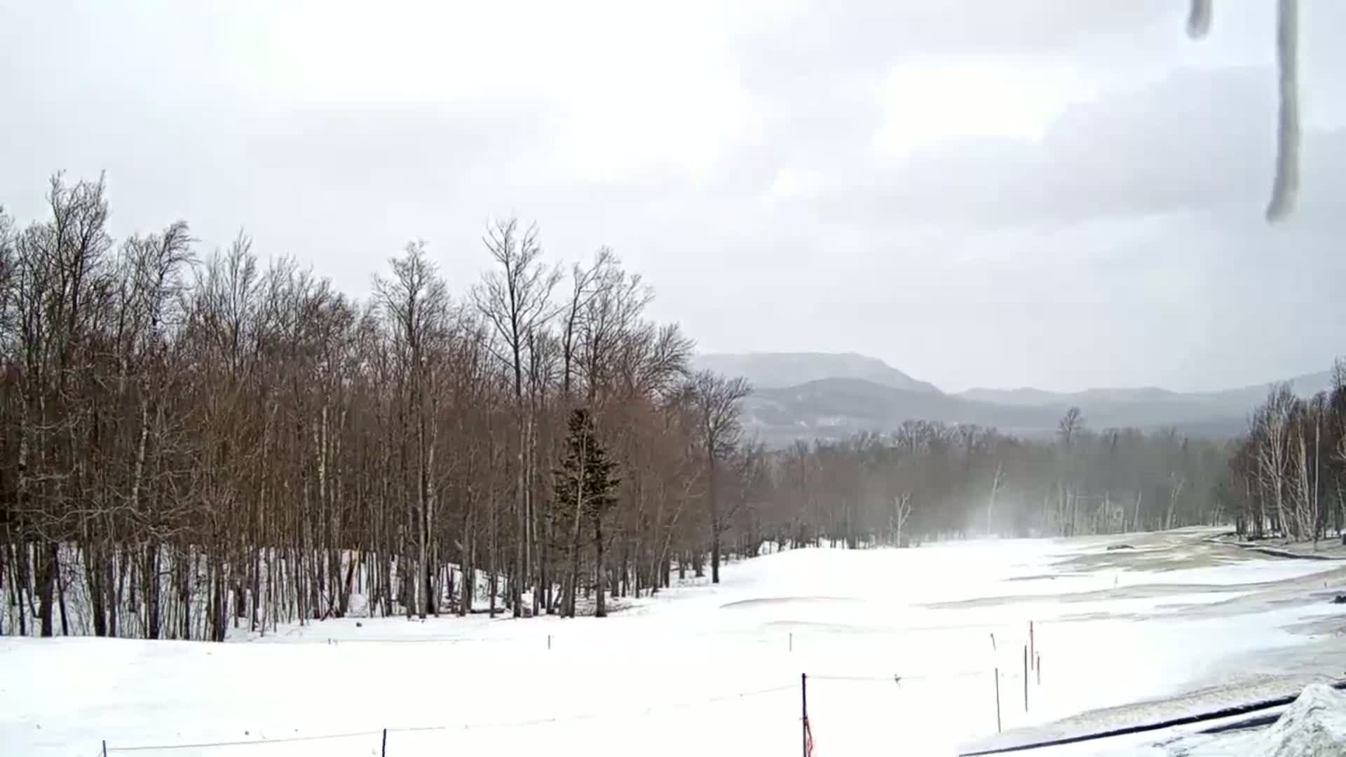 A snow-covered landscape with leafless trees and distant mountains under an overcast sky.