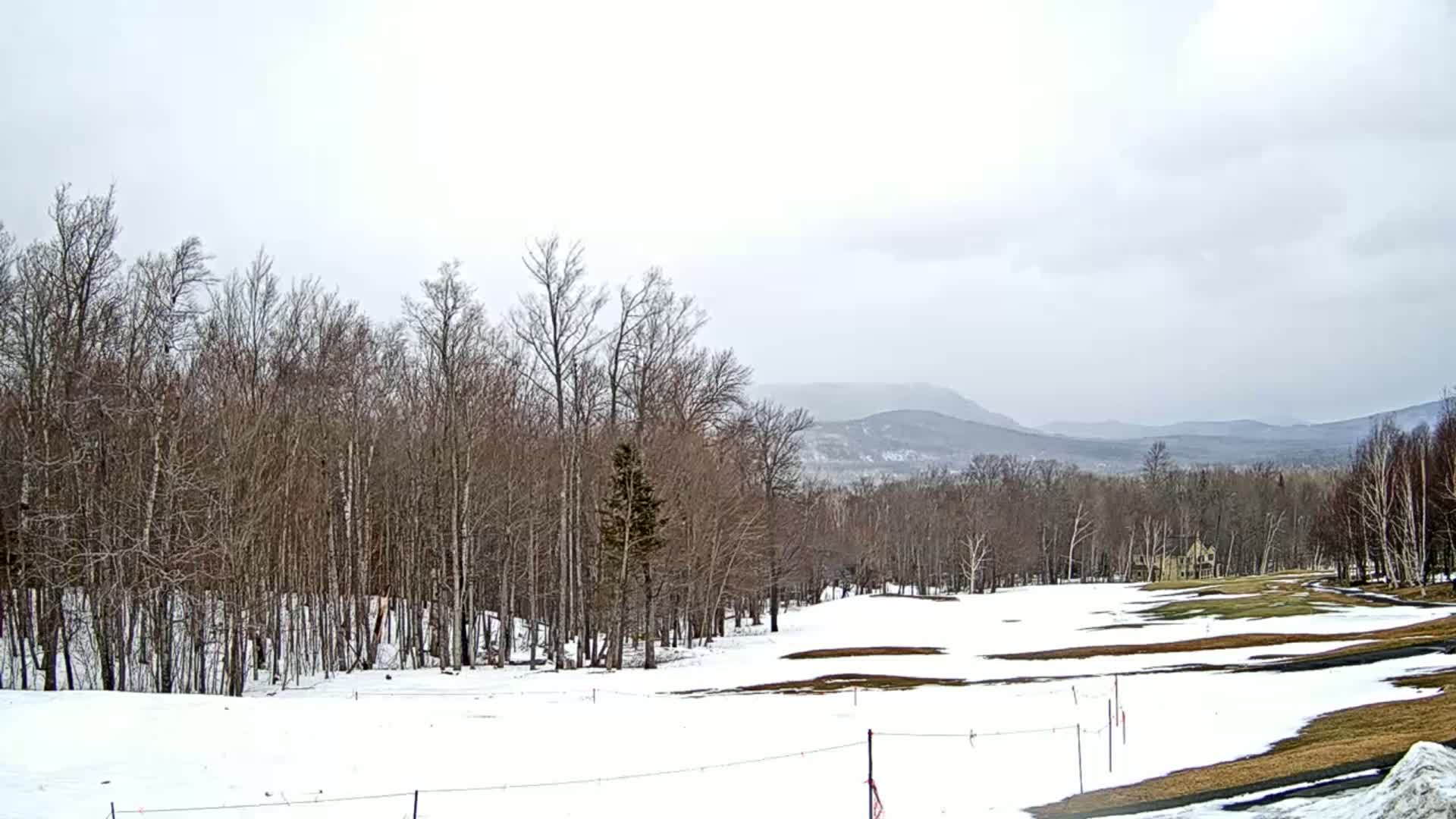 A snow-covered landscape with bare trees and distant mountains under an overcast sky.