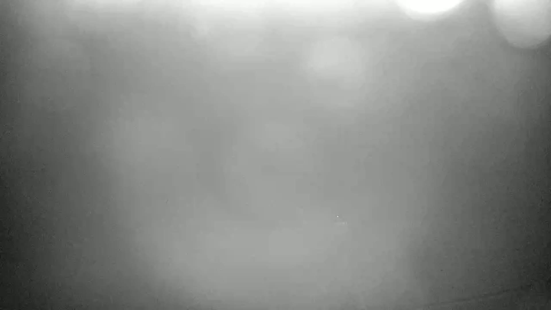 A blurry, gray image shows an indistinct outdoor scene in foggy or hazy conditions.