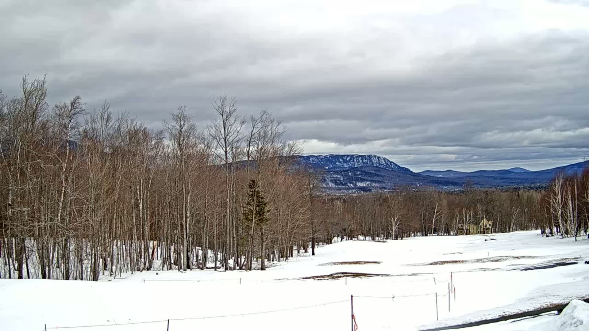 A snow-covered landscape with bare trees and distant mountains under a cloudy sky.