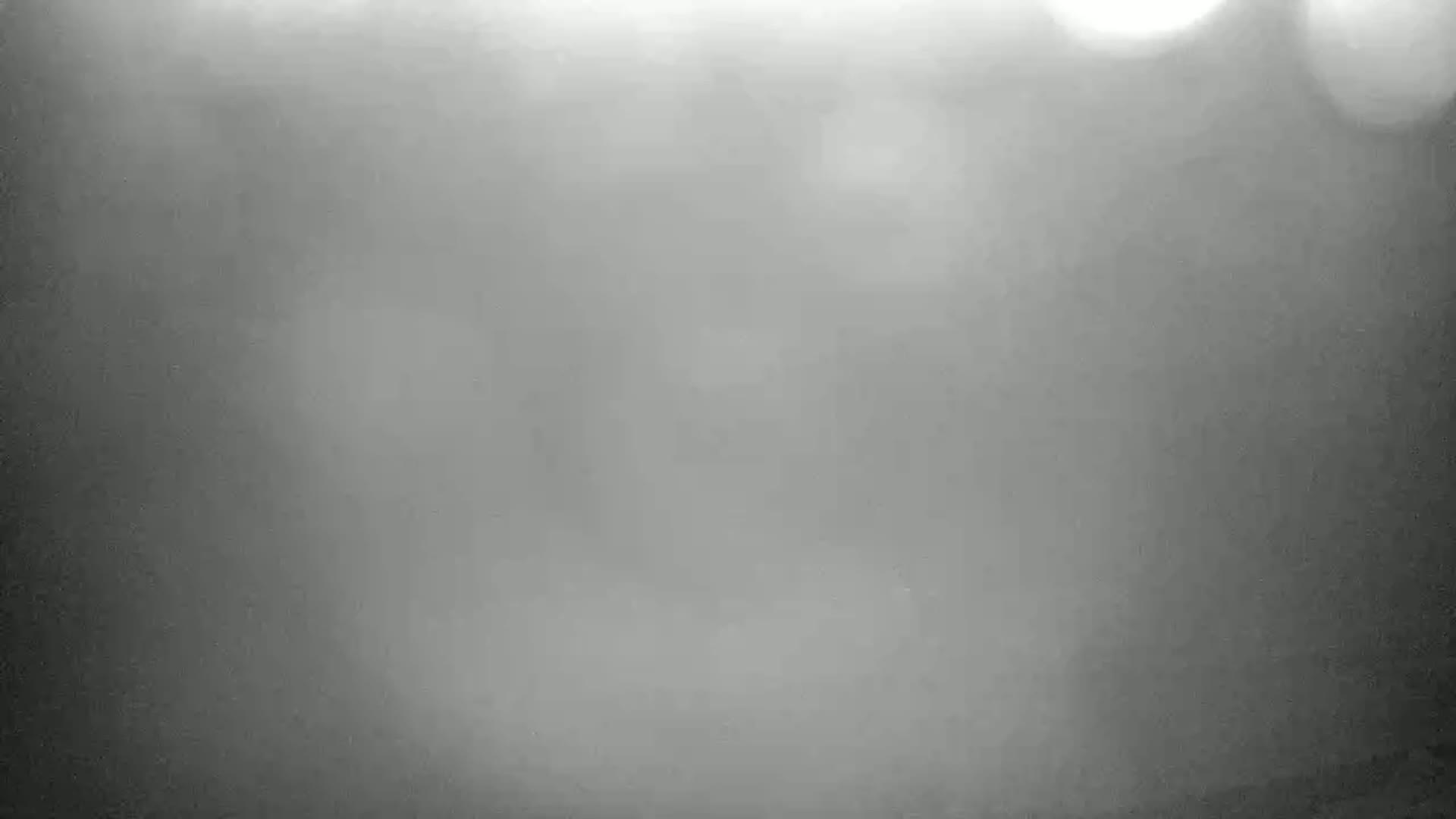 A blurry, grayscale image shows an indistinct scene in foggy or hazy conditions.