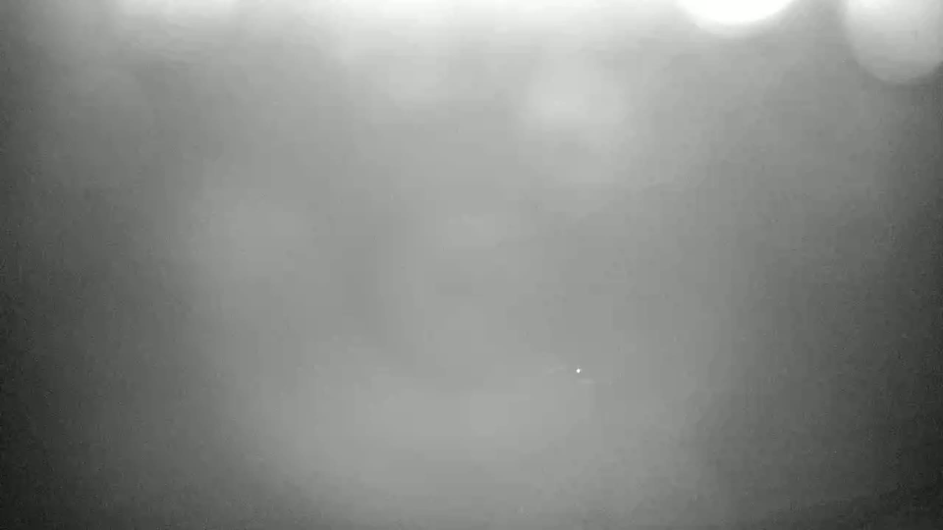 A blurry, hazy, grayscale image shows indistinct shapes and bright spots, suggesting a foggy or misty outdoor scene at night.