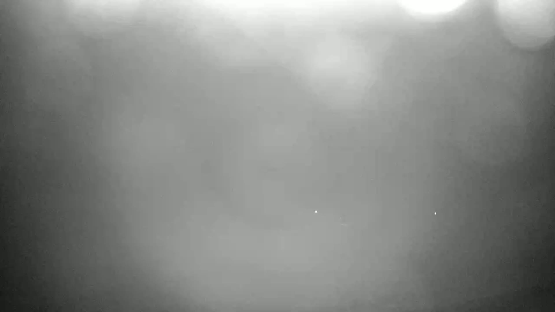 A foggy scene shows indistinct shapes and faint lights in the distance.