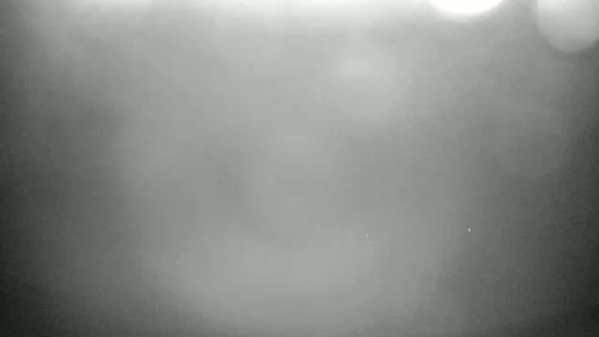 A blurry, grayscale image shows a foggy or hazy outdoor scene with indistinct shapes and bright spots of light.