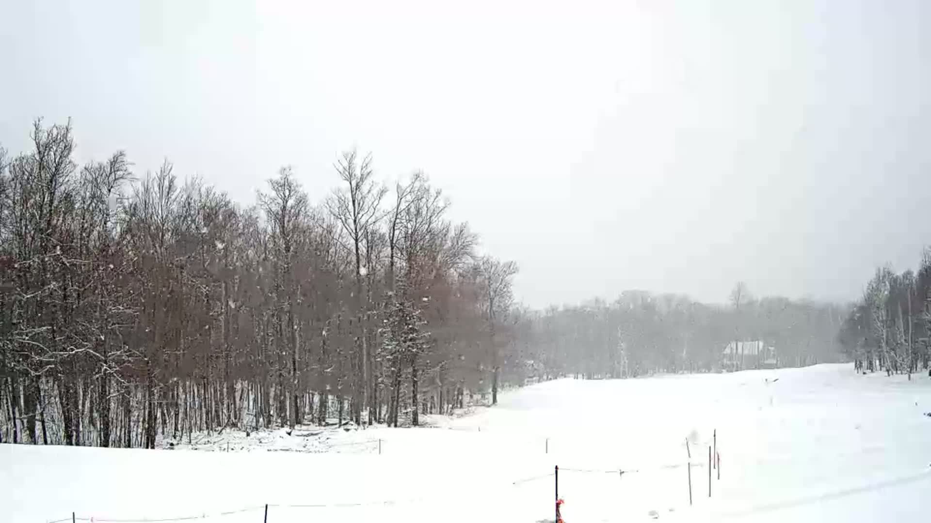 A snow-covered landscape shows a line of bare, snow-dusted trees bordering a wide, flat, snow-covered field under a light snowfall.