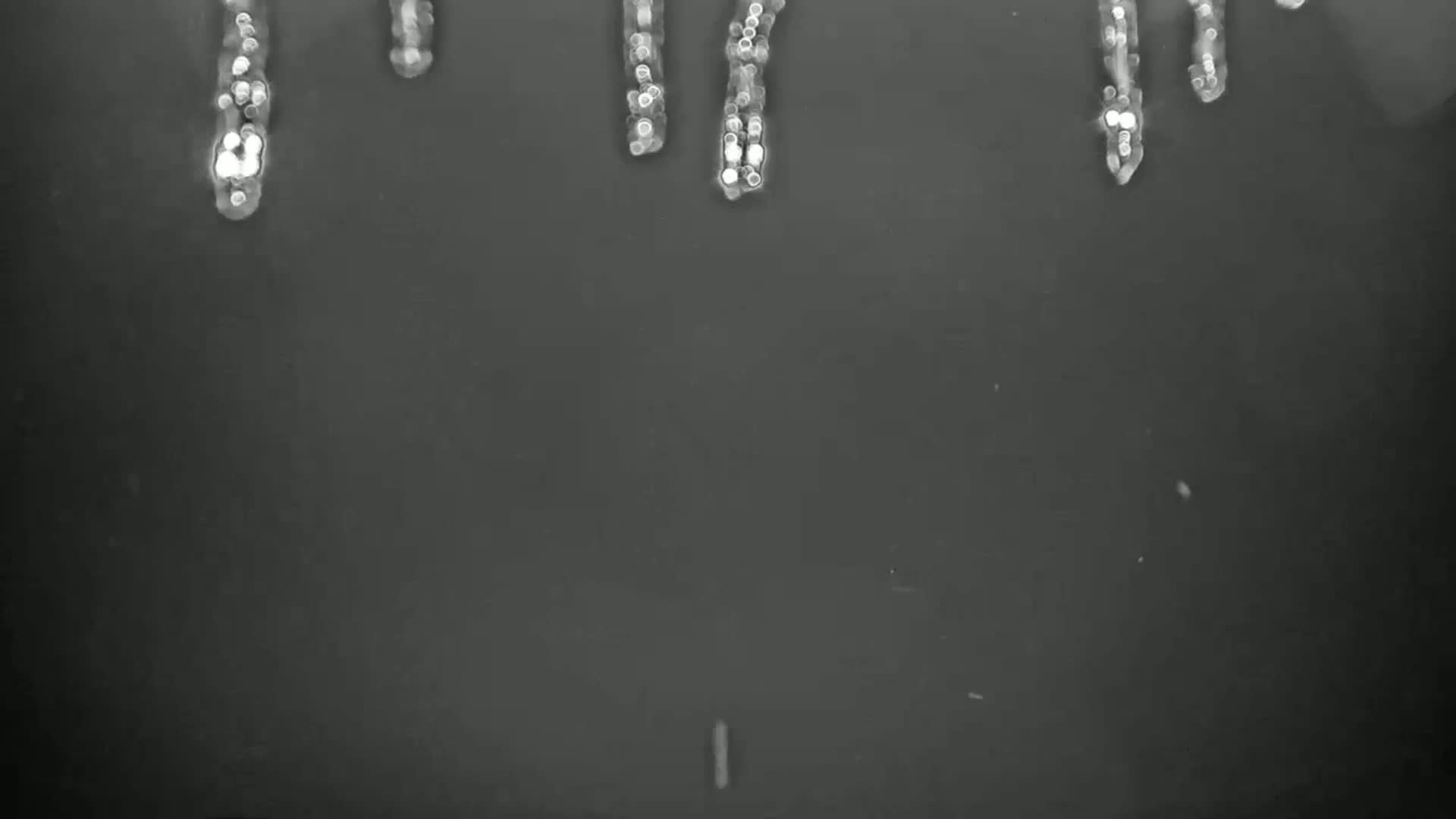 Several streaks of out-of-focus, bright objects fall against a dark gray background.