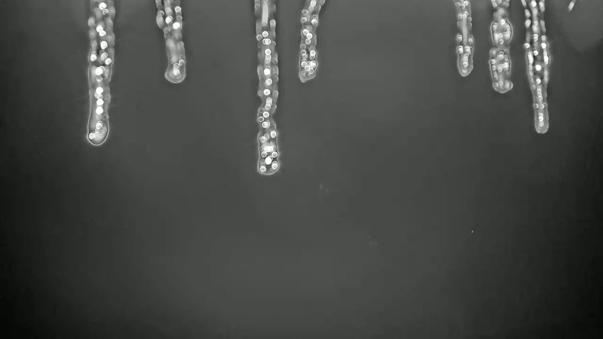 Several icicles, appearing as strings of bright, blurry lights, hang against a dark gray background.