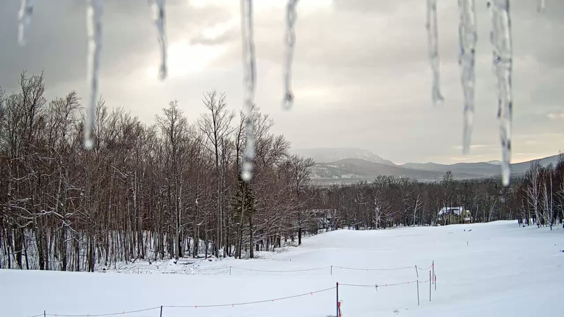 Melting icicles hang in the foreground of a snowy landscape featuring a stand of leafless trees and distant mountains under a cloudy sky.