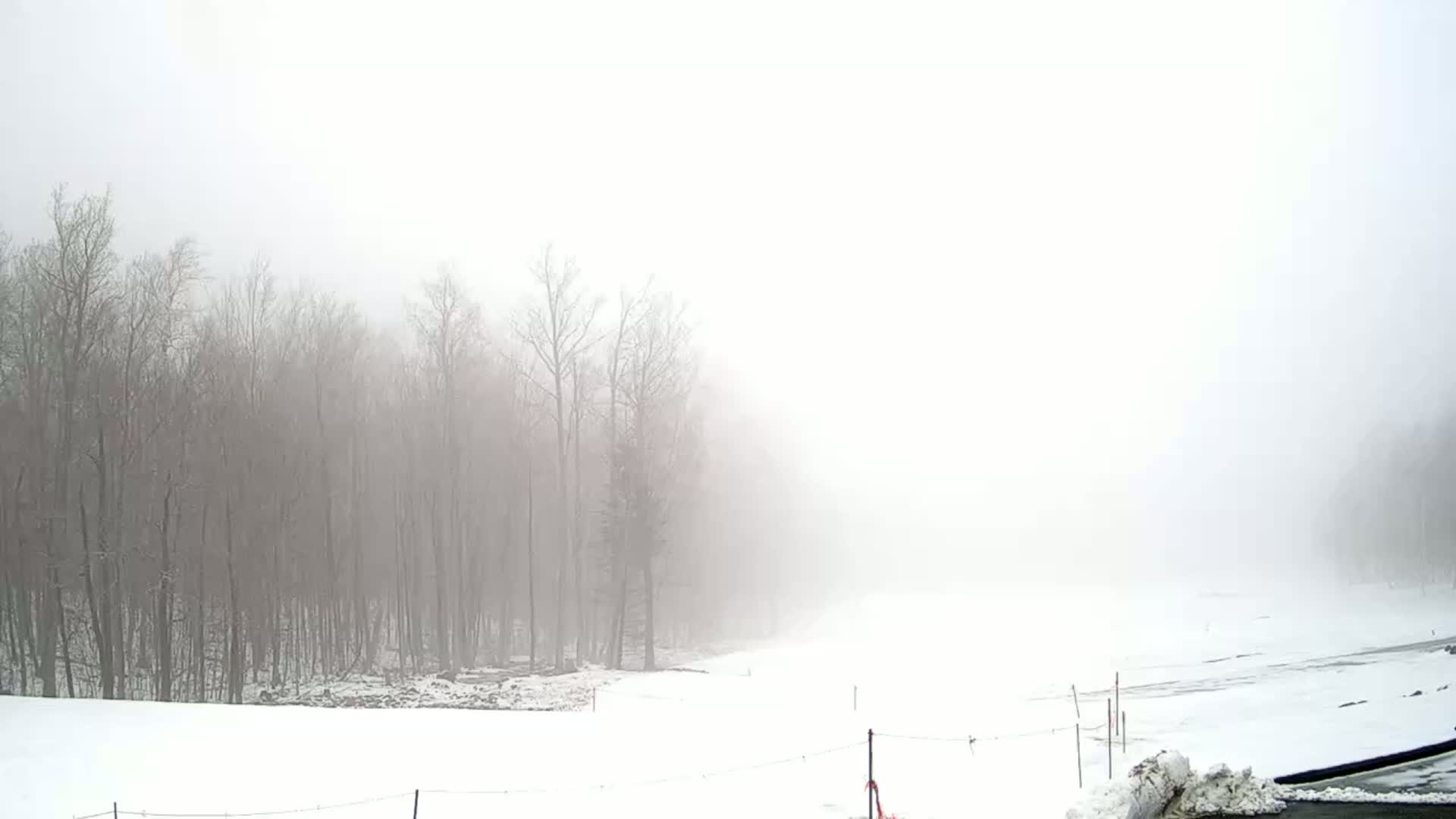 A snow-covered landscape, shrouded in thick fog, features a line of bare trees in the background.