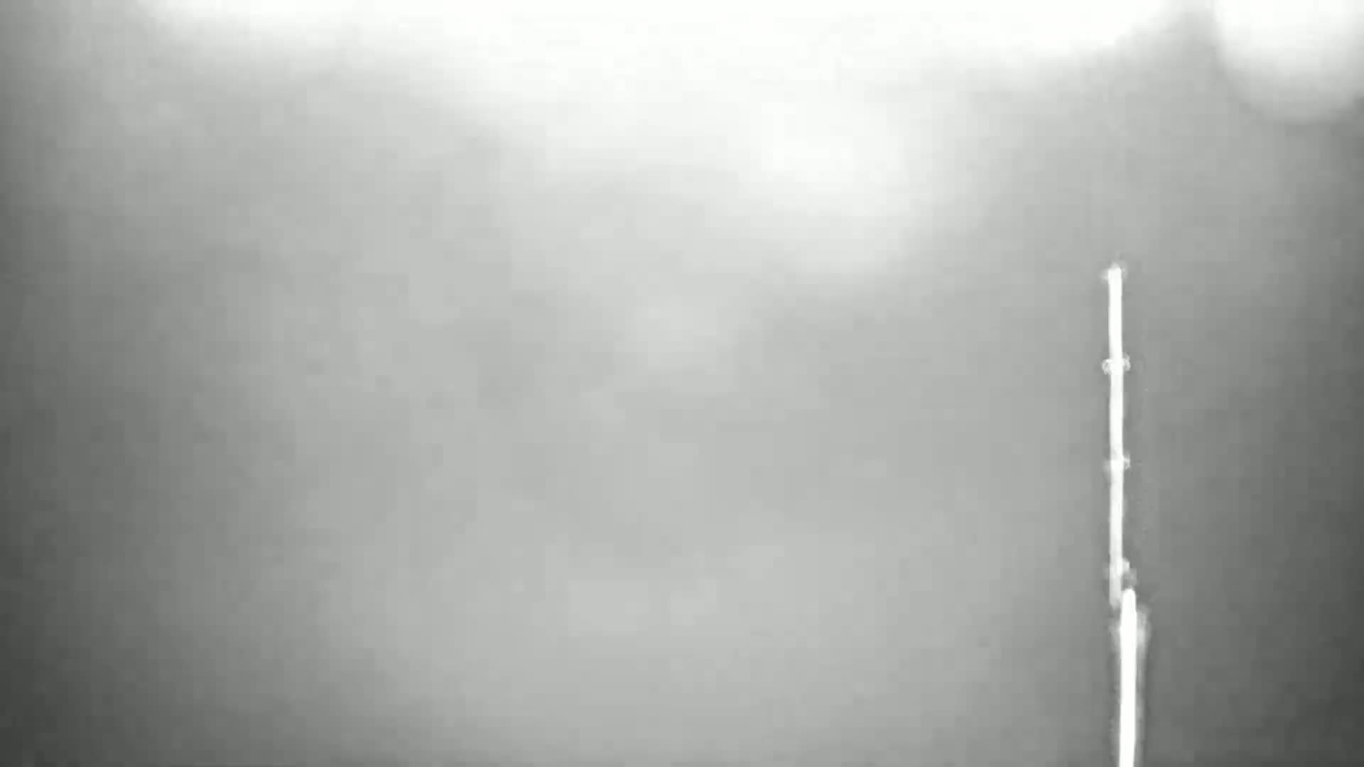 A blurry, grayscale image shows a thin, vertical pole against a foggy background.
