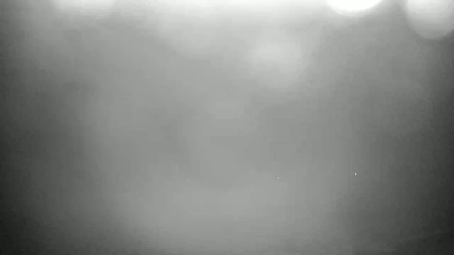 A blurry, foggy scene shows indistinct shapes and faint lights in the distance.