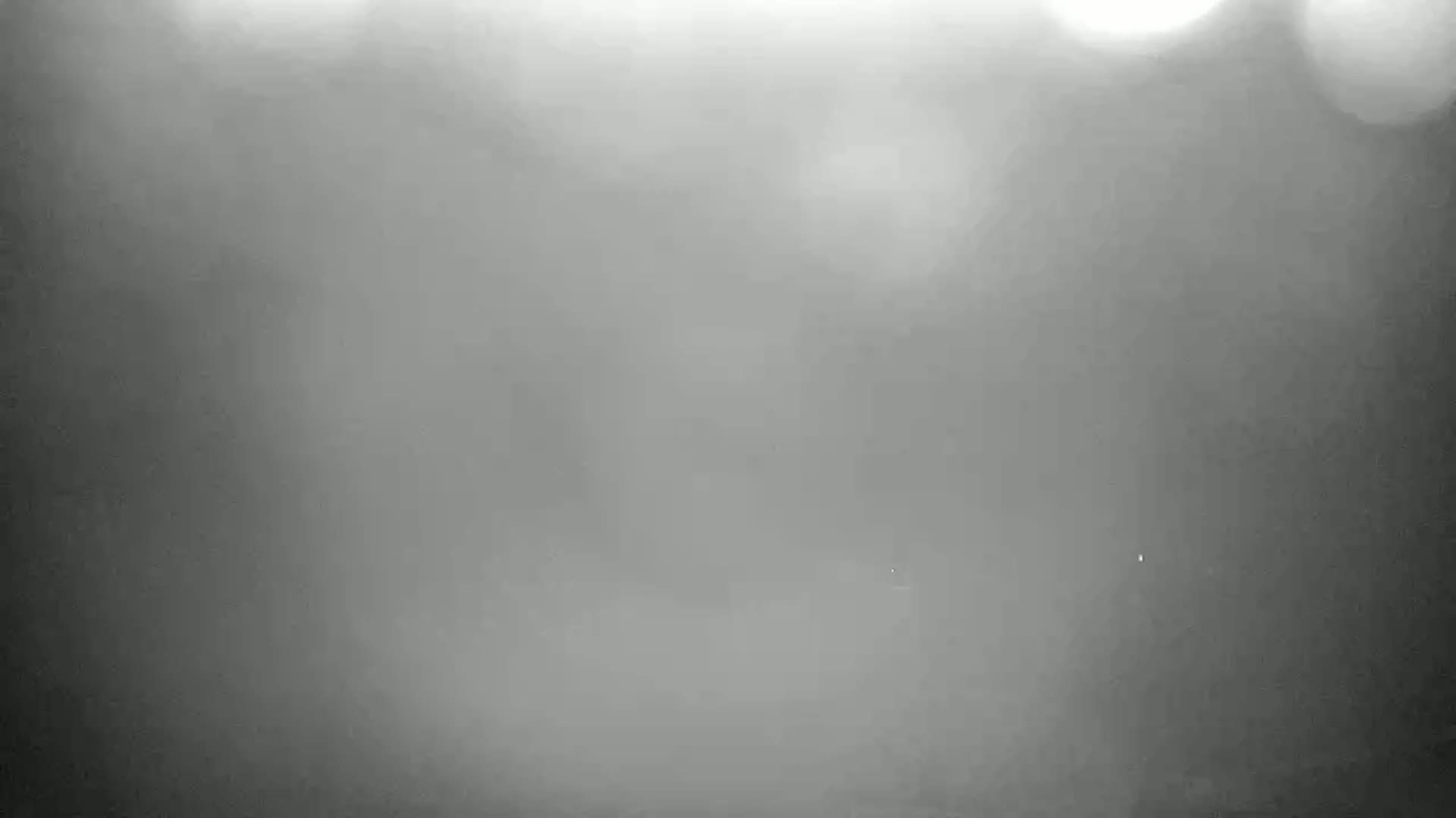 A blurry, foggy, gray outdoor scene is visible, with indistinct shapes and faint lights.