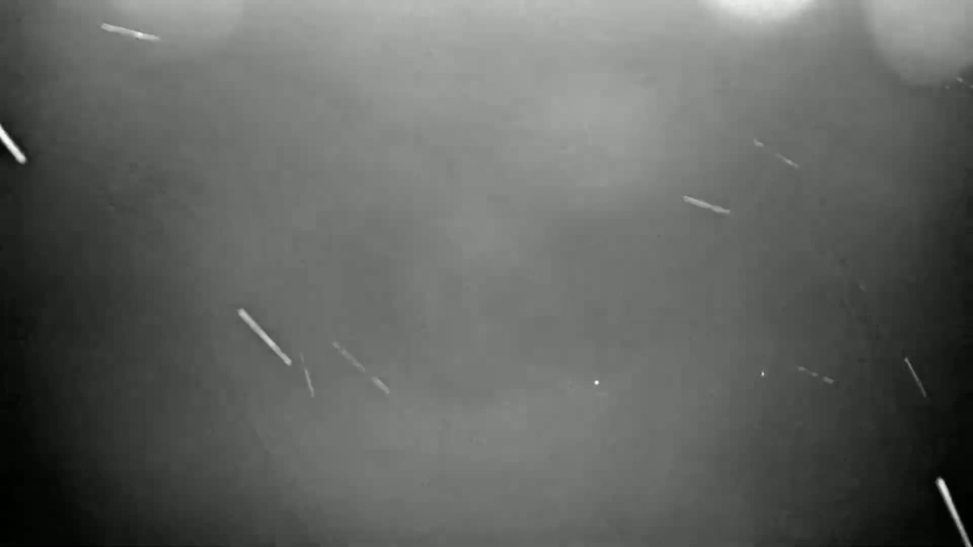 Light, gray-scale particles are falling against a dark, blurry background in snowy conditions.