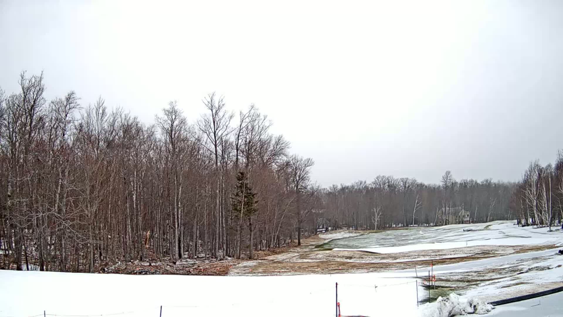 A snow-covered golf course is partially visible beyond a line of bare deciduous trees under an overcast sky.
