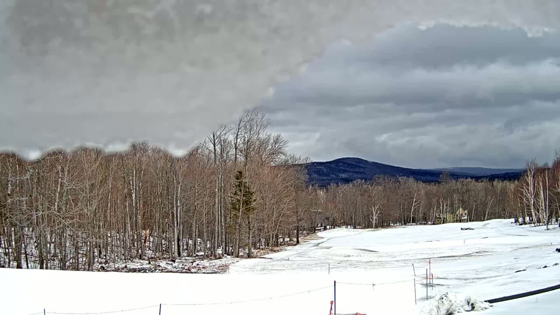 A snow-covered landscape with bare, deciduous trees and distant mountains under an overcast sky.