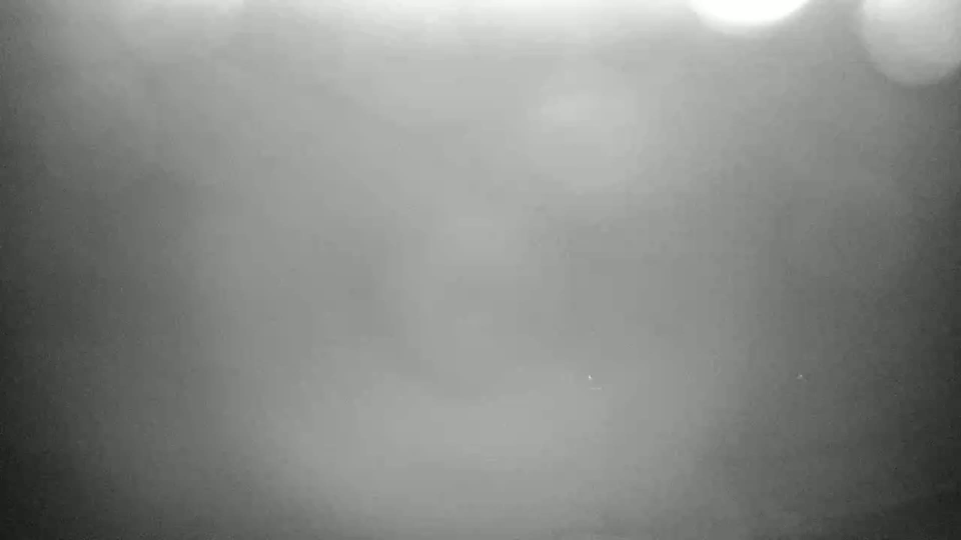 A blurry, gray image shows a foggy or hazy outdoor scene with indistinct shapes and bright spots of light.