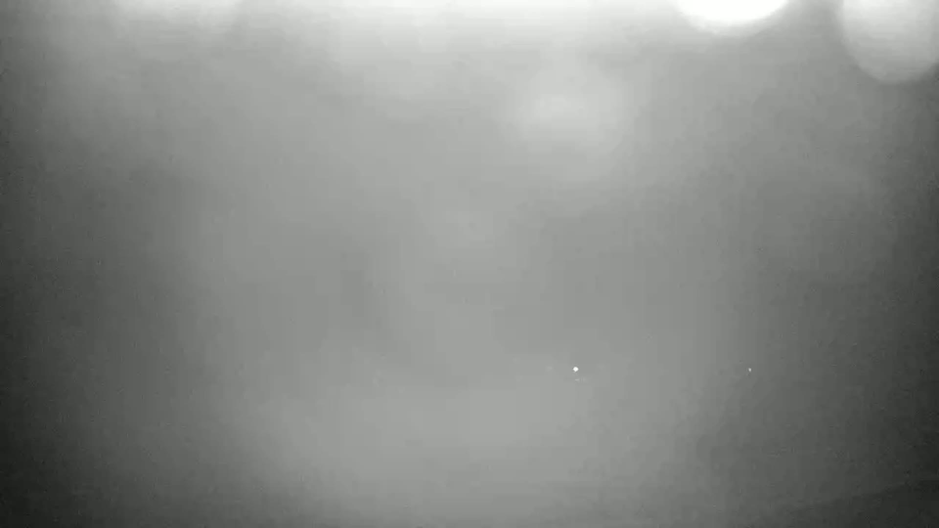 A blurry, grayscale image shows a foggy or hazy outdoor scene with indistinct shapes and a few faint lights.