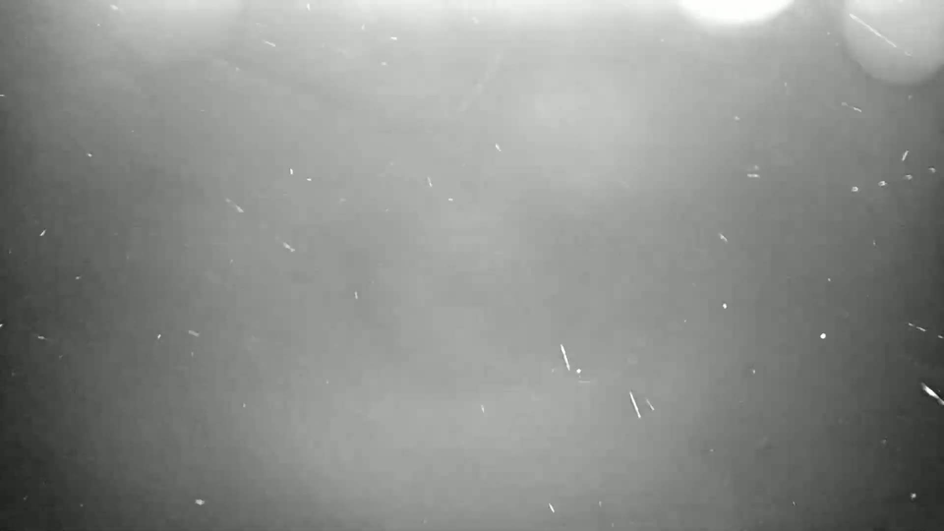 A gray, blurry image shows numerous small white specks falling against a darker gray background.